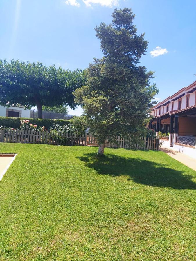 Casa Rural Alamillo Luque Exterior photo