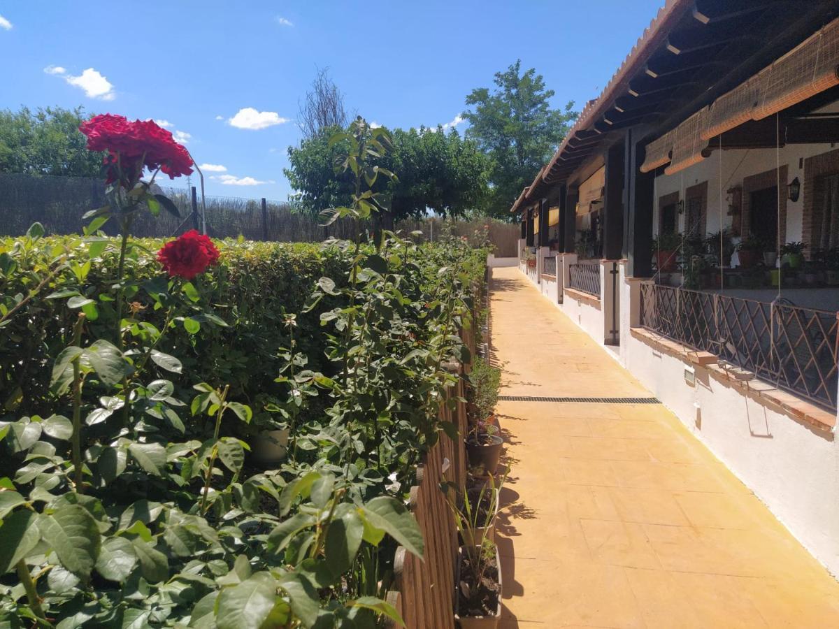 Casa Rural Alamillo Luque Exterior photo